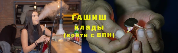 МДПВ Пересвет