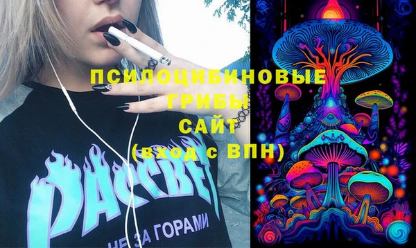 мдпв Костерёво